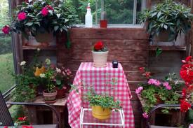Lion's Head House | Lofty Heights Bed and Breakfast