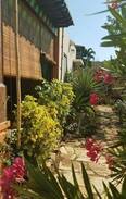San Juan del Sur Apartment | Monkey island apartment (breakfast included)