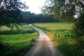 Morrisonville Cabin | The Napping Farm