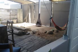 Swakopmund Hostel | Swakopmund Backpackers - CapeCross - Prvt 1-4 Pers