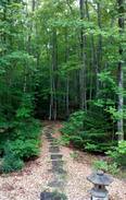 Lion's Head House | Lofty Heights Bed and Breakfast