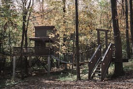 Dundee Other | Treehouse Village - The Shack