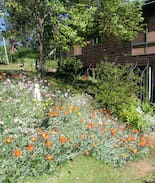 Balingup House | Avalon in Balingup (upstairs 3 bed/2bath only)