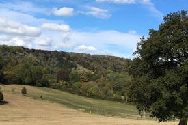 Petersfield House | Charming, private annexe in Steep