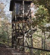 Dundee Other | Treehouse Village - The Sky Loft