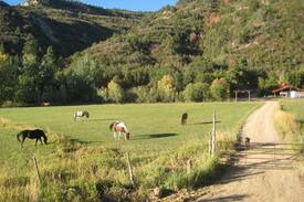 Glendale Cabin | The Bunkhouse at HappyOurs Ranch