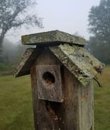 La Farge House | "Thoughtful Nest"