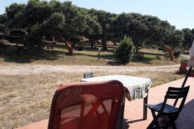 Sedini House | Casetta 4 tra gli alberi
