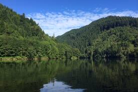 Scottsburg Cabin | Umpqua River cabin with dock. Swim, Fish, Relax!