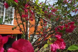 Parlatuvier Cabin | Charming Parlatuvier BAY COTTAGE is all you need!