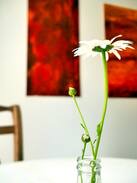 Wienhausen Apartment | Helle Souterrain-Wohnung in Wienhausen (bei Celle)