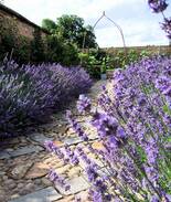 Thurnby Other | Abbey Farm - Self catering, B&B - Wolvey, Hinckley