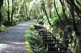 Hokitika Other | Hillyout accommodation, Lake Kaniere