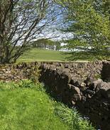 Buxton Bed & Breakfast | Room and own bath in Peak District Dog friendly