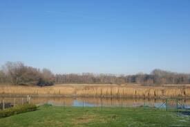 Wichelen Apartment | Appartment near the Schelde