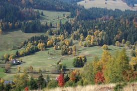 Menzenschwand-Hinterdorf Apartment | B5 Ferienwohnung für 2 Personen Haus Albmatte Menzenschwand Schwarzwald