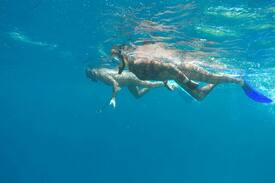Mahibadhoo Bed & Breakfast | K Villas Maldives, Superior Bedroom,Mahibadhoo