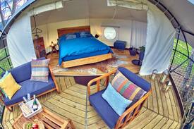 Travers Other | Treehouse Tree Glamping La Coué