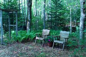Lion's Head House | Lofty Heights Bed and Breakfast