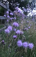 Chievres Other | Nature and peaceful environment