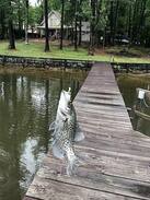 South Toledo Bend House | Belle Vue on Toledo Bend Lake South, Texas