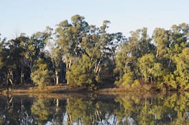 Murtho House | Murtho Reach a river shack