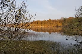 Crusheen Cabin | Garden Cottage is the place to start an adventure.