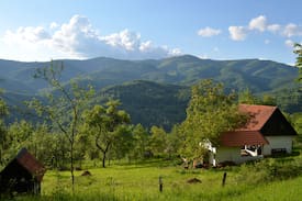 Bulzestii de Sus Cabin | Carpathian Cottage - with Sauna