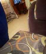 Mombasa House | Privacy and comfort is all you need