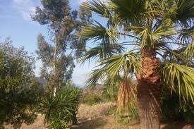 Pollina Bed & Breakfast | Holiday in Sicily low cost:Enjoy***