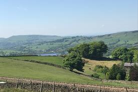 Buxton Bed & Breakfast | Room and own bath in Peak District Dog friendly