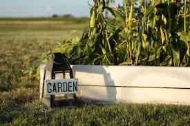 Valley Mills Other | Third Day Farm, 15 min from Waco, entire house