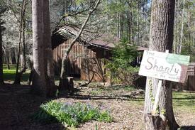LaGrange House | Shanty in the Woods