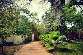 Diani Beach House | Serene cottages near Diani Beach