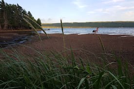 New Harris Cabin | MacLeod Cove