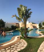 Port El Kantaoui Apartment | Location d’un studio en Tunisie
