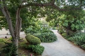 Kfar Blum Hotel | מלון פסטורל - כפר בלום