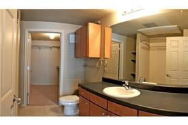 North Loop Apartment | N.Lamar: Economic Spot in Fantastic Community