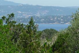 Porto-Vecchio House | Tiny house, Palombaggia, Porto-Vecchio