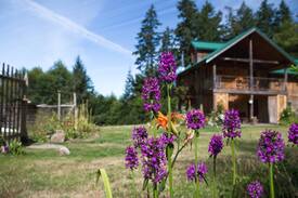 Cortes Island Other | Brilliant by the Bay - Sweet Suite