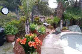 Callender House | Serenity-Tropical Glamping Site-San Luis Obispo Co