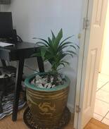 North and East House | Huge Room - Easy Access to San Francisco