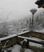 Thimphu House | Little Village1,room by the Oak Tree..