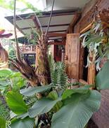 Sidomulyo House | Omah mBatoemoeljo