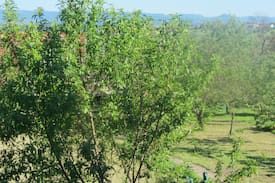 Schlaitdorf Apartment | Comfortable Flat close to the forest