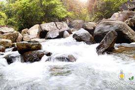 Kithulgala Cabin | Girankiththa Eco Resort(3)