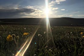 Naryn Region Other | Yurt camp Ali-Nur Юрточный лагерь Али-Нур