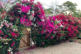 Municipality of Habana del Este House | Charming Beach House with pool at Tarará