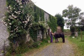 Stradbally Bed & Breakfast | Beautiful Double Room in Ballyrider House.