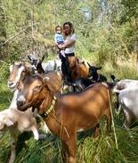 Rogue River Other | Off-the-Grid Retro Airstream at Pholia Goat Farm
